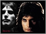 Freddie Mercury, Twarz